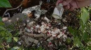 झाड़ियों में फेंकी गई लाखों की महंगी दवा, वीडियो वायरल होने से प्रशासन में मचा हड़कंप