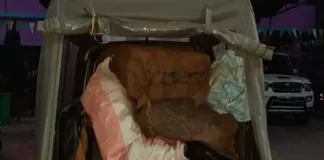 झारखंड : भारी मात्रा में प्रतिबंधित दवाएं बरामद, एक व्यक्ति गिरफ्तार