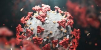 ओमिक्रॉन को लेकर स्टडी में हुआ खुलासा, फेफड़ों को नहीं पहुंचाता ज्यादा नुकसान