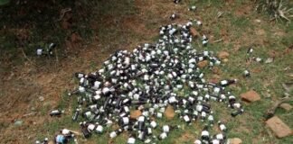 गढ्ढे में फेंकी मिली हजारों रुपये मू्ल्य की आयु्र्वेदिक दवाएं आयु्र्वेदिक दवाएं