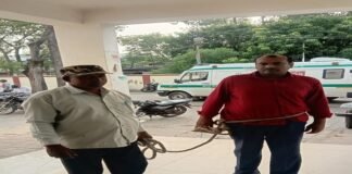 फेक सर्टिफिकेट पर नौकरी करने वाले डॉक्टर गिरफ्तार गिरफ्तार