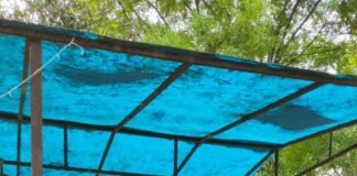 छापेमारी के दौरान भारी मात्रा में प्रतिबंधित इंजेक्शन बरामद, स्टोर सीज