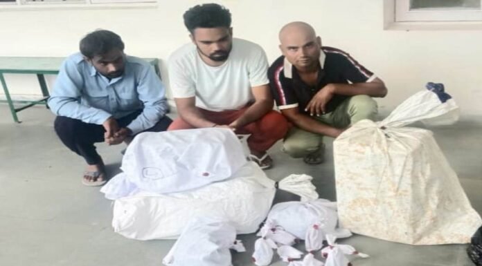 नशीली दवाईयों की तस्करी करने वाले गिरोह का भंडाफोड़, तीन स्मगलर चढ़े पुलिस के हत्थे