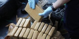 नशीली दवाओं के साथ 3 गिरफ्तार, 18 लाख का माल बरामद दव