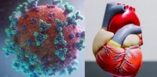 कोविड से उबरे लोगों को 3 महीने के अंदर हृदय रोग, मधुमेह होने का अंदेशा कोविड