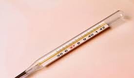 बरेली में मिला अफ्रीकन स्वाइन फीवर का पहला मामला african swine fever