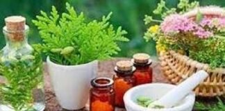 वाराणसी में खुलेगा यूपी का पहला प्राकृतिक चिकित्सा केंद्र प्राकृतिक चिकित्सा केंद्र