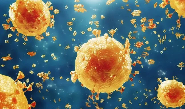 सावधान रहने की जरूरत, एक बार फिर बढ़ने लगे स्वाइन फ्लू के मामलें swine flu