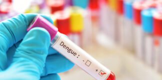 बिहार में बढ़ें डेंगू के मामले, जिम्मेदार कौन डेंगू