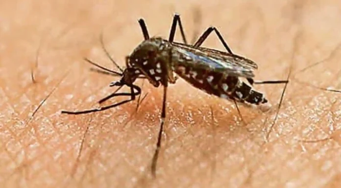 जीका वायरस का पहला मामला आया सामने, राज्य में अलर्ट जारी zika_virus_