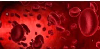 वैज्ञानिकों ने पांचवे ब्लड ग्रुप का लगाया पता ब्लड ग्रुप