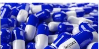 FDCA ने 2,267 नए निर्माण लाइसेंस जारी किए