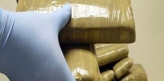 जेल विभाग ने नशे की तस्करी को रोकने के लिए बॉडी स्कैनर की मांग की