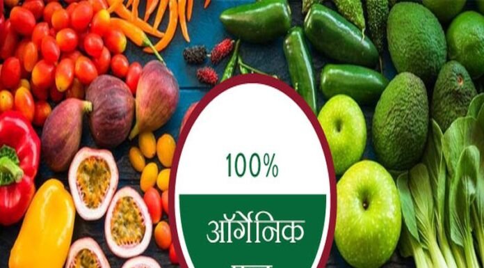 ऑर्गेनिक फूड के नकली दावों पर कसा जायेगा शिकंजा