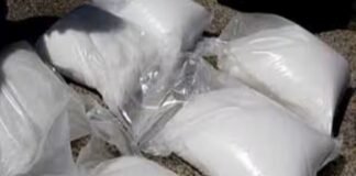 महाराष्ट्र में बनाया गया एंटी नारकोटिक्स टास्क फोर्स