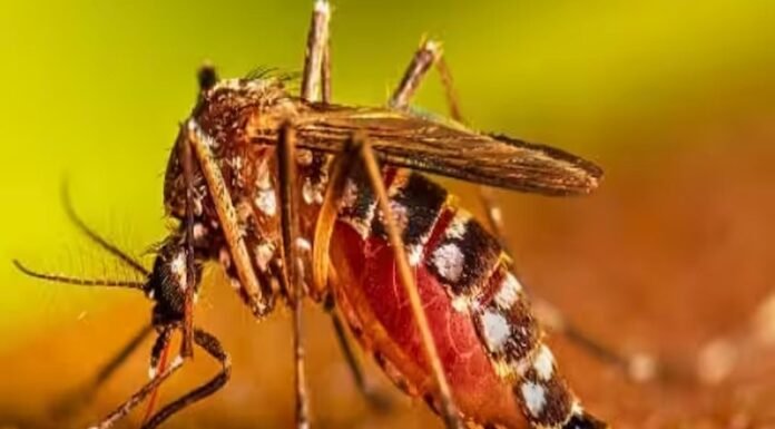दिल्ली के प्राइवेट अस्पताल में हर दूसरा मरीज डेंगू का