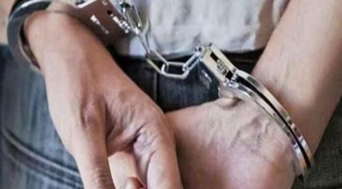2 भारतीय नागरिकों पर अमेरिका में ड्रग्स वितरित का आरोप