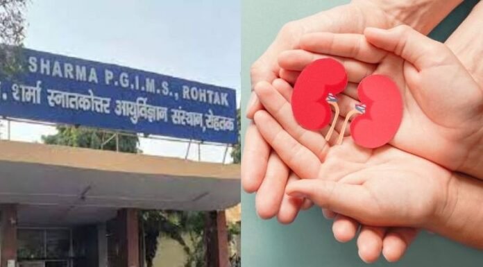 गुर्दे की गंभीर बीमारियों से जूझ रहे मरीजों के लिए गुड़ न्यूज, PGI रोहतक को मिली किडनी ट्रांसप्लांट की मंजूरी pic