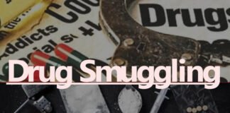 प्रतिबंधित नशीली दवा की कार से तस्करी, 4.50 लाख की दवा समेत तस्कर Arrest नशीली दवा