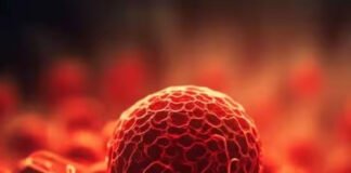 कैंसर जैसी जानलेवा बीमारी का एआई से लगा सकेंगे पता, टाटा कैंसर हॉस्पिटल ने की पहल