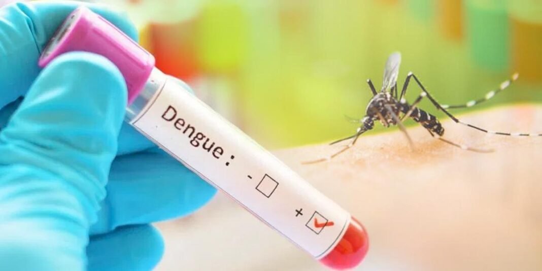 Dengue-2 Dengue-2