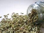Fennel-seeds-