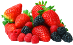 29022-4-berries-transparent-image