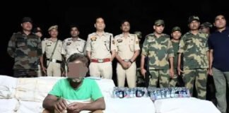 कफ सिरप फेंसिडिल की तस्करी पकड़ी, 30 लाख की खेप समेत एक गिरफ्तार