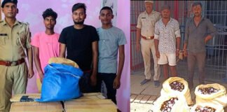 कफ सिरप की तस्करी के आरोप में कई युवक गिरफ्तार