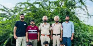 नशीली दवा ट्रामाडोल की तस्करी के फरार आरोपी गिरफ्तार