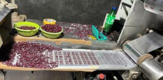 नकली दवा की फैक्ट्री का भंडाफोड़, करोड़ों की दवाओं के साथ 5 अरेस्ट