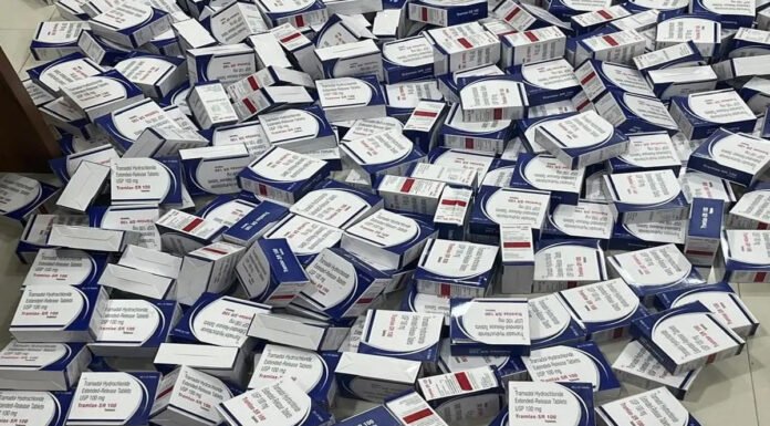 नशीली टेबलेट्स समेत एक गिरफ्तार, कार भी जब्त