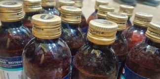 नशीली दवा सिरप की तस्करी में दंपति अरेस्ट