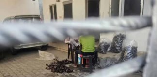 फार्मा कंपनी में एक्सपायरी दवाओं की बोटलिंग का भंडाफोड़