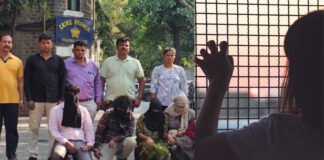 बच्चों को अवैध दवा से गोरा बनाकर बेचने वाले रैकेट का भंडाफोड़