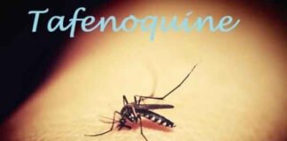 मलेरिया की दवा टैफेनोक्वीन को डब्ल्यूएचओ ने दी अनुमति