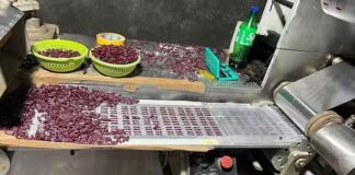 नकली दवाइयों की जांच में तीन फर्म के नाम सामने आए