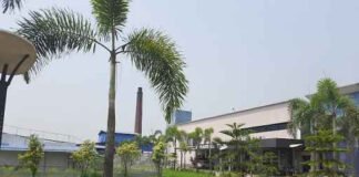 पश्चिम बंग फार्मा विनिर्माण बंद करे, हाईकोर्ट का निर्देश