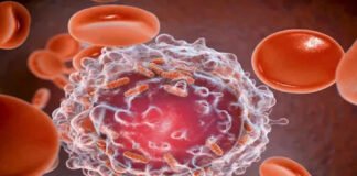 कैंसर टारगेटेड दवा का एएमयू को मिला पेटेंट