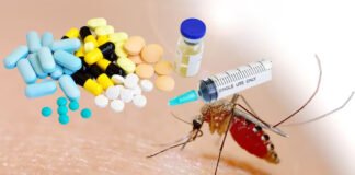 वायरल फीवर चिकनगुनिया की दवा ईजाद, जल्द होगा ट्रायल