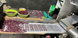 नकली दवा बनाने वाली फैक्टरी का भंडाफोड़, 3 करोड़ की दवाएं जब्त