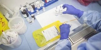 खतरनाक फंगस से कैंसर की दवा तैयार, साइड इफेक्ट नहीं