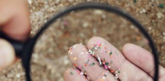 मानव अंगों में मिला माइक्रोप्लास्टिक पाया गया, विशेषज्ञों ने अलर्ट किया