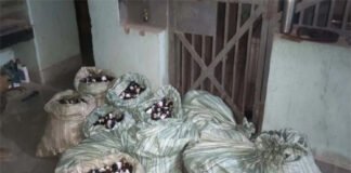 मकान पर रेड कर 7.15 लाख की प्रतिबंधित कफ सिरप जब्त