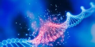 जीन थेरेपी से होगा एड्स का उपचार, वैज्ञानिकों का दावा