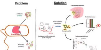 निमोनिया के इलाज की नई दवा होगी कारगर सिद्ध