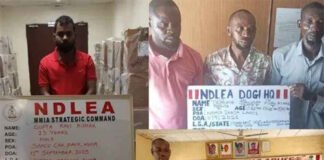 ट्रामाडोल की तस्करी में भारतीय व्यापारी समेत चार गिरफ्तार