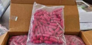 नकली दवा बनाने वाली फैक्ट्री का भंडाफोड़ कर पार्टनर अरेस्ट