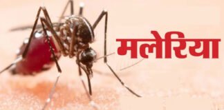 जिद्दी मलेरिया को जड़ से खत्म करेगा नया ड्रग कॉम्बिनेशन