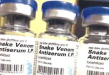 सांप-रोधी संदिग्ध नकली दवा की 1,080 शीशियां जब्त
